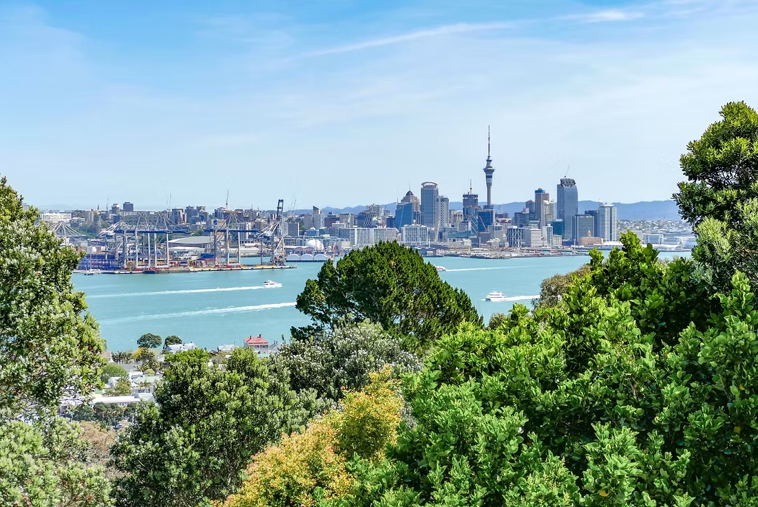 紐西蘭活躍投資者優勢簽證5月最新數據