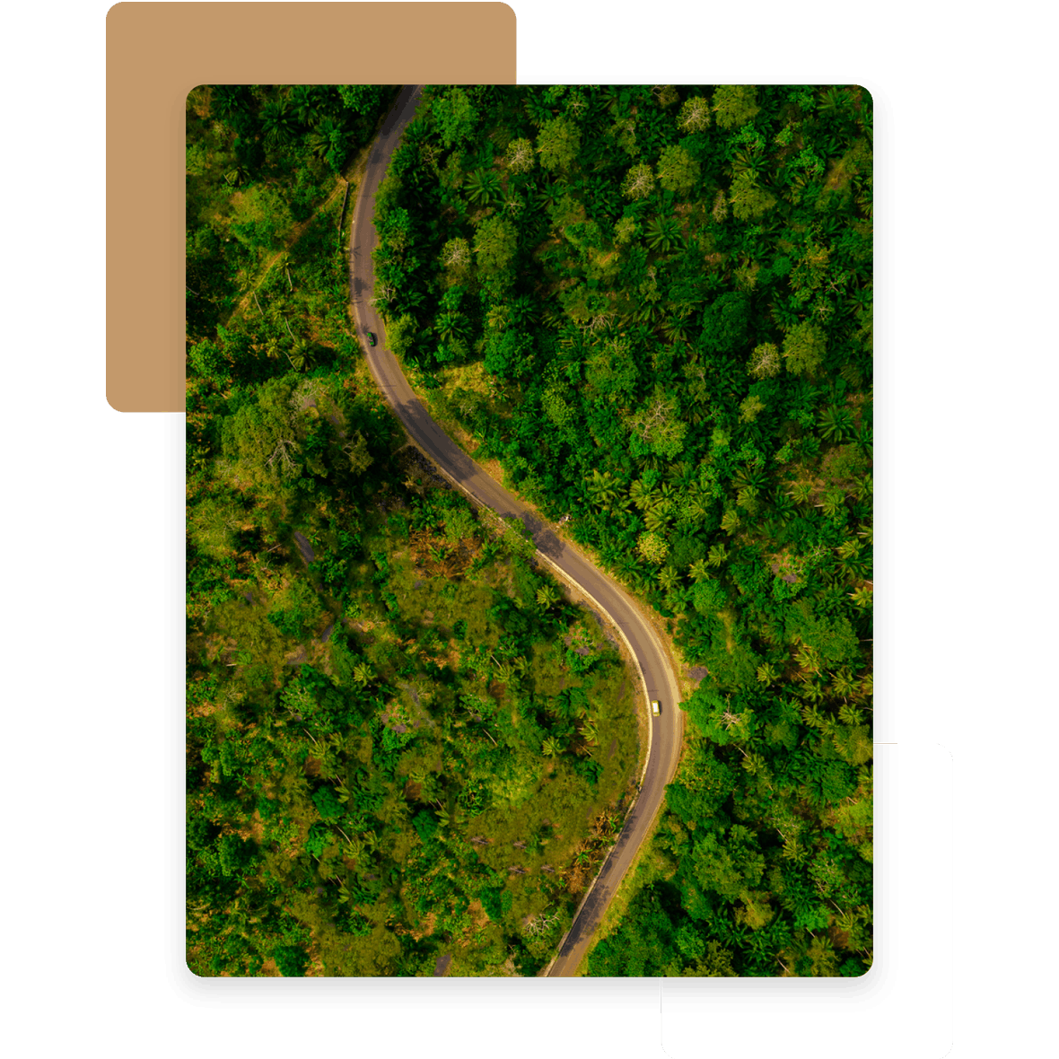 聖多美普林西比生活需要幫忙