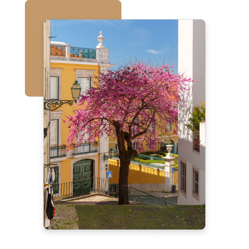 葡萄牙生活需要幫忙