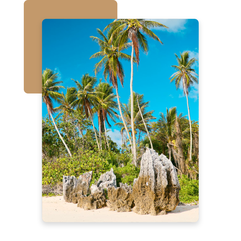 諾魯生活需要幫忙