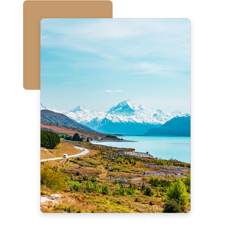 紐西蘭生活需要幫忙